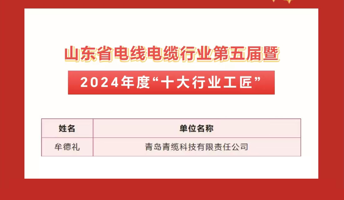 青缆职工获评2024年度“十大杰出青年”及“十大行业工匠”