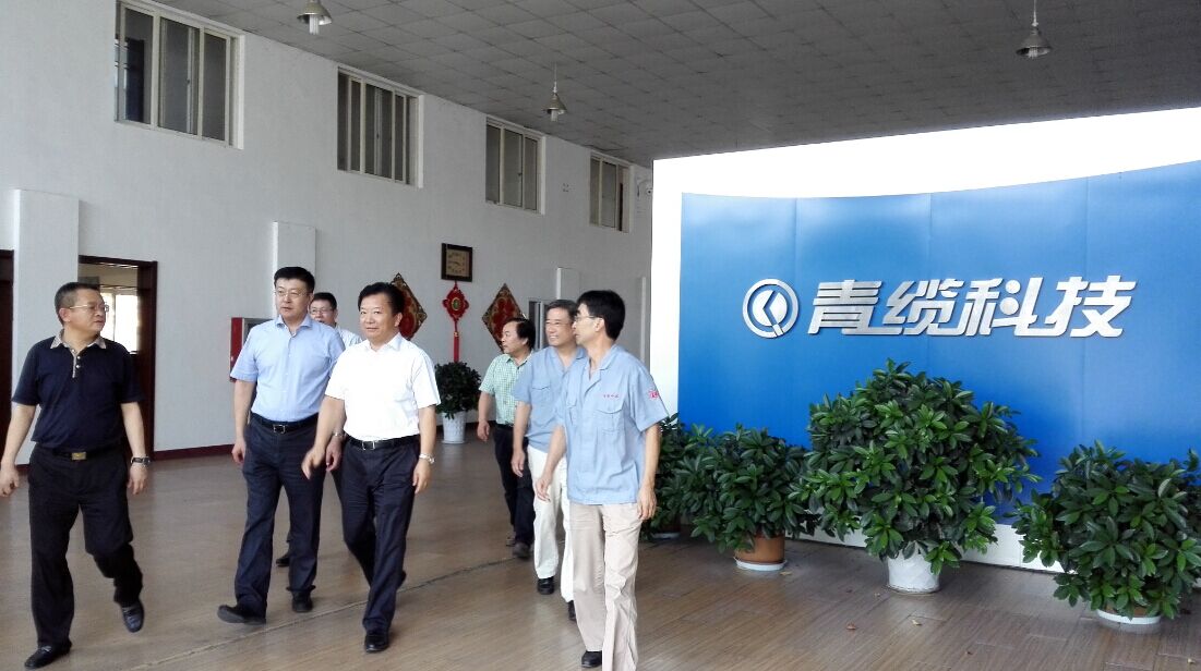 即墨市市长郑德雁到我公司考察走访(图1)